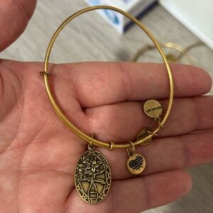 Alex and Ani friend bangle bracelet